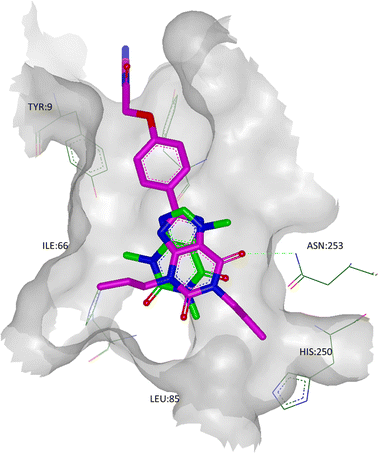 The crystal structure of A2A StaR2 in co-complex with caffeine (ligand shown in green; PDB code 3RFM). Overlaid in pink is the X-ray structure of XAC from its co-complex with A2A StaR2 (PDB code 3REY) to show the similarities in the placement of the xanthine cores. Note that in the 3REY structure, the amide head group of Asn253 had rotated 180°.