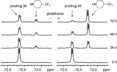 
          
            19F NMR observation of the release of fluorinated amine from the fluorinated prodrug31 in the absence (left) and presence (right) of glutathione.