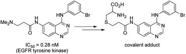 
          Thiol trapping by 3-aminopropanamideinhibitor of EGFR.