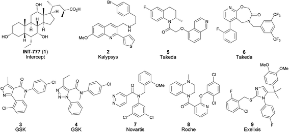 Selected TGR5 agonists reported in the literature.