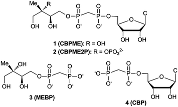Stable substrate analogs as potential modulators of IspF activity. CBP (4) serves as a bisphosphonate control and potential mimic of CDP.