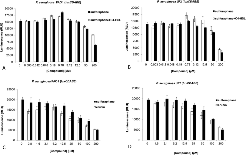 Inhibition of QS by different concentrations of sulforaphane, with or without C4-HSL (1 : 1 concentration), in P. aeruginosa PAO1-luxCDABE (A) or PAO-JP2-luxCDABE (B) (triplicates, after 5 h of incubation). Activity of different concentrations of sulforaphane and erucin in P. aeruginosa PAO1-luxCDABE (C) or PAO-JP2-luxCDABE (D) (triplicates, after 5 h of incubation). Activity is shown as relative luminescence units (RLU – luminescence divided by the OD600 of the bacteria). Measurements in (A) and (B) were performed using a Spectramax M2 (Molecular Devices) plate reader, and in (C) and (D) using a Varioskan Flash Multimode (Thermo Scientific) plate reader.