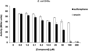 Inhibition of 3-oxo-C12-HSL (100 nM) mediated LasR activation in E. coli-DH5a-lacZ by increasing concentrations of sulforaphane and erucin. Activation was measured through β-galactosidase production (Miller units).