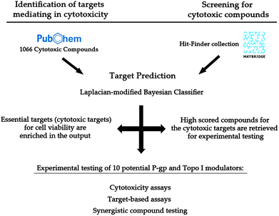 Workflow followed to experimentally evaluate the applicability of an in silico target prediction for cytotoxic compounds on synergistic protein targets (P-glycoprotein 1 and Topoisomerase I). Firstly, 1066 compounds cytotoxic to HeLa cells were retrieved from PubChem Bioassay (ESI, Table S4) and their targets were predicted (left side). 18 enriched targets were used in further assessment (Table S1). Secondly, the target prediction algorithm was applied to a supplier library (right). Ten compounds predicted to interact with those targets selected in the first step were experimentally tested separately and in combination (bottom).