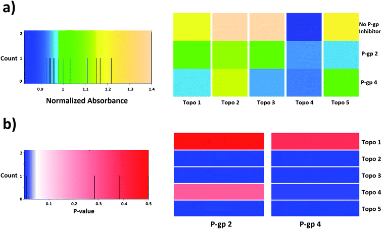 Heatmaps representing (a) normalized absorbance values obtained in the cytotoxicity assay and (b) p-values of the analysis of compound synergism in HeLa cells (t-test of independent samples). According to the statistical analysis, compound synergies could be established in 7 out of the 10 cases presented here (out of a total of 25 combinations). Compound P-gp 4 enhances the cytotoxic effect of compounds Topo 2, Topo 3, Topo 4 and Topo 5, while compound P-gp 2 produces a similar effect except for Topo 4.