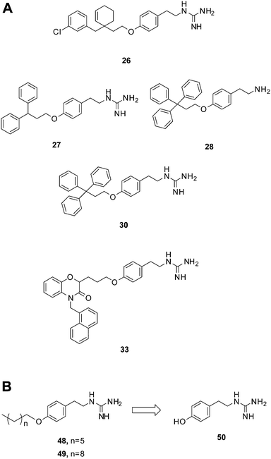 Compounds bearing guanidine moieties. (A) Subset of compounds predicted to interact with an active site Asp using molecular modeling. (B) Simplified variants of compounds 26, 27, 30 and 33. Further deconstruction of these compounds resulted in the fragment-like compound 50.