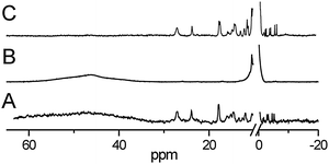 Binding of non-iron metalloporphyrins to the HmuY haemophore of P. gingivalis analysed by 1H NMR spectroscopy. (A) HmuY reconstituted with 5-fold molar excess of Fe(iii)PPIX, (B) HmuY reconstituted with Zn(ii)PPIX and treated with 1 equivalent of Fe(iii)PPIX and (C) HmuY reconstituted with Ni(ii)PPIX after addition of 1 equivalent of Fe(iii)PPIX.