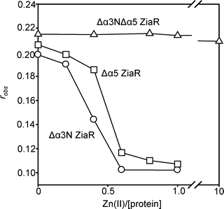 Anaerobic titration of a complex of either Δα3N ZiaR (circles), Δα5 ZiaR (squares) or Δα3NΔα5 ZiaR (triangles) (each at 1 μM) and zia-O/P DNA (10 nM) with Zn(ii), monitoring fluorescence anisotropy.
