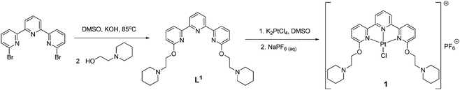 The synthetic procedure used to prepare the platinum(ii)–terpyridine complex used in this study.