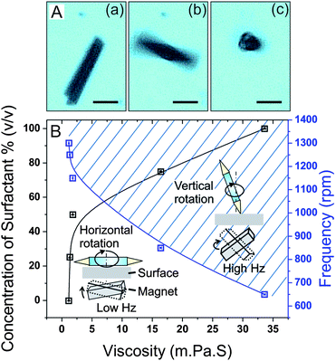 Transition of the rotation of magnetic microdrillers from horizontal to vertical orientations. (A) Microscope images of the (a) static state, (b) planar and (c) vertical rotating microdrillers with respect to applied angular frequency (scale bar: 20 μm). (B) Concentration of the soap (% v/v) vs. viscosity (mPa s) at room temperature and threshold angular frequency (rpm) vs. viscosity (mPa s). The vertical rotation phase is shadowed and above the blue solid line while the planar phase is below. At these above plotted frequencies, the rolled up microtube changes its orientation from planar to vertical upright.