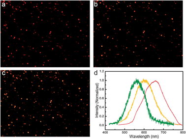 Dark-field images of the plasmonic vesicles before (a) and after photo irradiation for 10 min (b) and 15 min (c). (d) Representative scattering spectra of a single vesicle before (red line) and after photo irradiation for 10 min (yellow line) and 15 min (green line).
