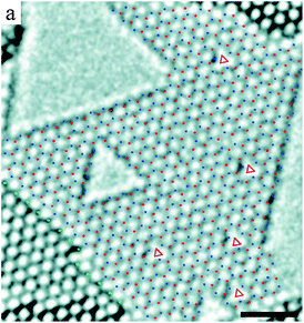 Experimental HRTEM image of a single-layer of a h-BN membrane, with boron atoms indicated by red dots, nitrogen atoms by blue dots, and single vacancies by red triangles. Preferential removal of the lighter boron atoms results in triangular holes with nitrogen-terminated edges. Reprinted (adapted) from ref. 27 Copyright 2009 American Chemical Society.