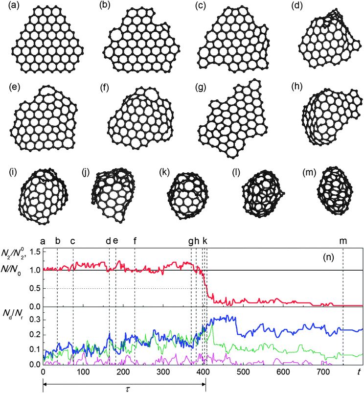 (a–m) Evolution of structure of the graphene flake under irradiation by electrons with kinetic energy 80 keV and flux 4.1 × 106 electrons per s nm2 observed in the simulations based on full description of energy and momentum transfer: (a) 0 s, (b) 36 s, (c) 76 s, (d) 166 s, (e) 181 s, (f) 230 s, (g) 370 s, (h) 384 s, (i) 398 s, (j) 401 s, (k) 408 s, (l) 411 s and (m) 750 s. (n) calculated number N2 of two-coordinated atoms relative to the number N02 of two-coordinated atoms in the ideal flake with the same total number N of atoms (red line), total number N of atoms in the flake relative to the initial value N0 (black line), numbers Nd of pentagons (thick blue line), heptagons (thin green line) and octagons (thin magenta line) relative to the total number Nr of rings in the flake as functions of time t (in s). Moments of time corresponding to structures (a–m) are shown using vertical dashed lines. The time τ of graphene–fullerene transformation is indicated by dotted lines and a double-headed arrow.