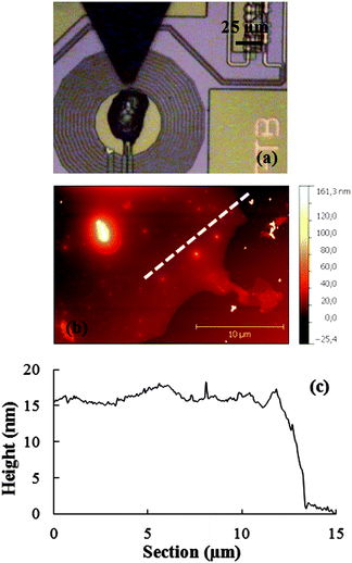 Deposition of a continuous Mn12bz thin-film covering the whole coil area (sample DPN3). (a) Optical image taken during the integration process. (b) AFM topography image of the replica sample fabricated, under the same conditions as in (a), onto a broken μSQUID susceptometer. (d) Height profile measured along the white dashed line in (b).