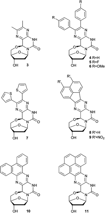 Structures of 5′–6-locked nucleosides 3–11.