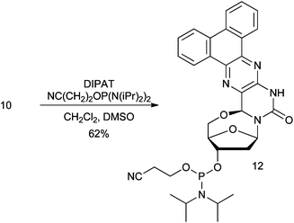Synthesis of phosphoramidite 12 from nucleoside 10 (DIPAT: diisopropylammonium tetrazolide).
