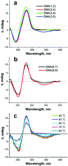 
            a,b – CD spectra of DNA duplexes formed from single strands each containing 0–6 covalently linked SNS monomers. c – The temperature dependence of the CD spectrum of DNA(8,9).