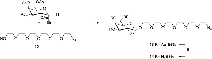 Synthesis of azido-linked galactoside14. (i) HgBr2, DCM, r.t., 3 d; (ii) (1) MeONa, MeOH, r.t., 48 h; (2) DOWEX-H+.