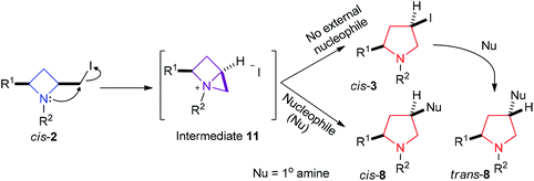 Divergent conversion of cis-azetidines 2via intermediate 11 to both cis- and trans-pyrrolidines 8.