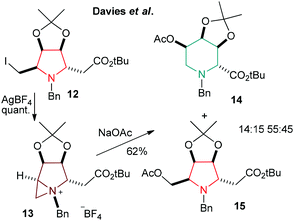 Ring expansion of 12 through aziridinium formation (13) to piperidine 14 by Davies et al.33