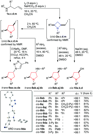 The synthesis of 2,4-cis- and trans-pyrrolidines (8, 9 and 10) from homoallyl amines (1). Inset: X-ray crystal structure of trans-9da, only pyrrolidine and triazole C–H protons shown for clarity, nitrogen atoms are coloured blue (Ortep plot 30% probability ellipsoids), for full details see ESI.
