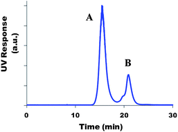 Example of a SEC/UV chromatogram of a sample withdrawn from the reaction medium during coupling of the chromophore onto the P(NAM-co-NAS) copolymer.