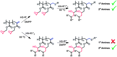 Alternative dual functionalisation routes for use of primary and secondary amines.