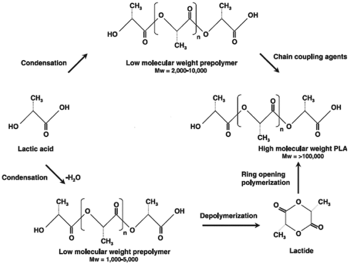 Schematic representation of PLA synthesis (Gupta et al. 2007). The process starts with the continuous condensation reaction of aqueous lactic acid to produce low molecular weight PLA prepolymers. Next, the low molecular weight oligomers are converted into a mixture of lactide stereoisomers using a catalyst to enhance the rate and selectivity of the intramolecular cyclization reaction. The molten lactide mixture is then followed by ring-opening polymerization into a high-molecular-weight lactic acid polymer. Finally, PLA high polymer is produced using an organo tin-catalyzed ring-opening lactide polymerization.