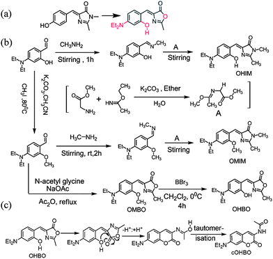 (a) Three step chemical tweaking (in red) of p-HBDI. (b) Chemical structure and synthesis of all four dyes. (c) Possible pathway for conversion of OHBO to cOHBO.