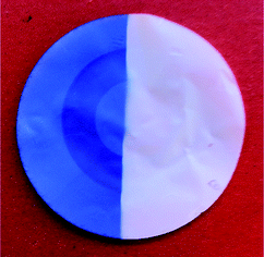 Postmodified HEMA-coated PC membrane. Left: after UV irradiation; right: at daylight.