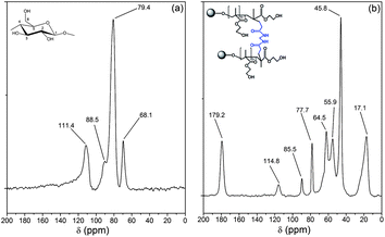 
            13C NMR spectra of (a) dextrin, (b) Dxt-g-p(HEMA) 5 hydrogel.