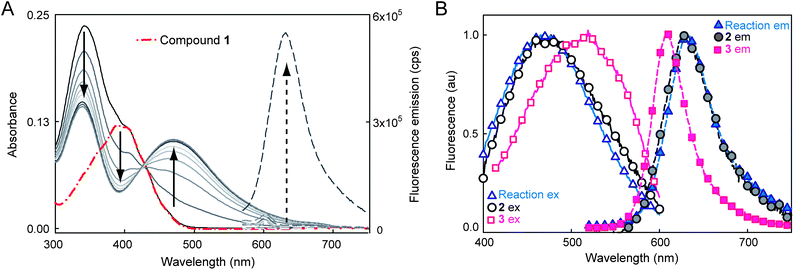 (A) Spectral change during the NTR reaction with 1 and NADH over ≈10 minutes showing red-shifted absorption and fluorescence increase. Solid curves show absorbance of the reaction mixture at different time points, broken red curve is absorbance of 1 alone. Dashed lines are fluorescence emission (500 nm excitation) before and after the NTR reaction. No fluorescence turn-on or absorbance change is observed without all three components, see ESI Fig. S2 and S3. (B) Normalized excitation (solid curves and empty symbols, collected at emission max) and emission (dashed curves and solid symbols, 500 nm excitation) spectra of NTR reaction mixture (triangles) compared to separately synthesized 2 (circles) and 3 (squares). All spectra measured in 10 mM Tris–HCl (pH 7.5), for more details, see ESI.
