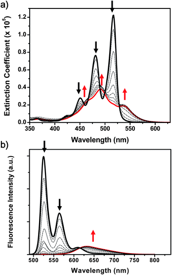 Concentration-dependent (a) UV-vis absorption and (b) emission spectra of PBI 1 in methylcyclohexane. The concentration was varied in the range from 10−7 (black bold) to 10−3 M (red bold).