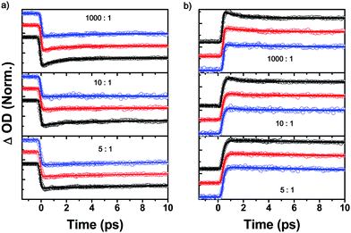 S1–S1 annihilation process in PBI 1–4 hetero-aggregates observed at (a) 490 nm and at (b) 730 nm. The relative ratio between PBIs 1 and 4 were controlled (1000 : 1, 10 : 1 and 5 : 1). The excitation powers are 9.0, 2.8 and 1.00 mW for black, red and blue circles, respectively.