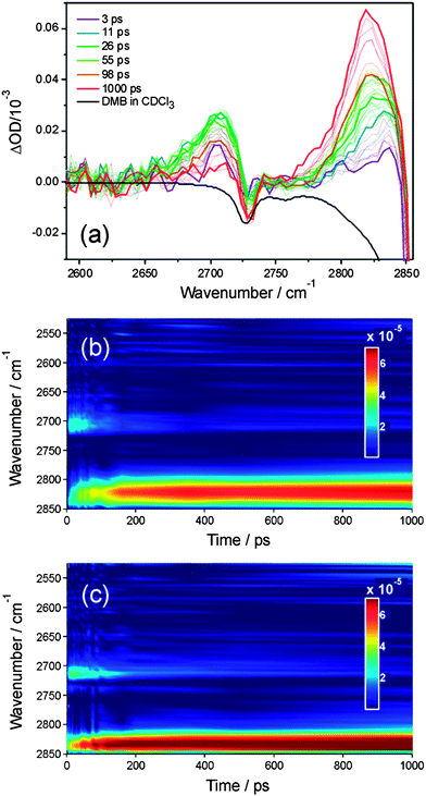 Transient IR spectra obtained in the 2500–2850 cm−1 region following initiation of reaction (2) in solution at time t = 0 ps. Panel (a): transient spectra for reaction (2) in CDCl3 for numerous time delays from 0–1000 ps. Time delays associated with the thicker lines are indicated in the inset key. The black line is a portion of an FTIR absorption spectrum of DMB in CDCl3 (inverted for clarity). Panel (b) the transient IR data from panel (a) replotted to show the time evolution of the spectra, with a colour scale ranging from dark blue (zero signal) to dark red (maximum signal) as shown in the inset key. Panel (c) shows data for reaction (2) in solution in CCl4 in the same format as for panel (b). All spectra have been curtailed at 2850 cm−1 to avoid the strongly negative signal resulting from an absorption band of DMB, the onset of which is evident in panel (a).