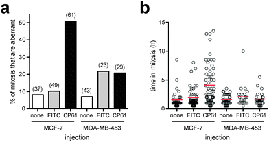 Comparing the effect of CP61 on the mitotic fidelity of MCF-7 and MDA-MB-453 cells. (a) The percentage of cells in which the first mitosis was phenotypically abnormal was scored for MCF-7 and MDA-MB-453 cells injected with FITC-dextran (FITC), CP61 + FITC-dextran (CP61) or non-injected cells (none). Numbers in brackets indicate number of mitoses assessed. (b) Each mitotic cell assessed in (a) was scored for the length of time in mitosis. Red bars show mean time in mitosis.
