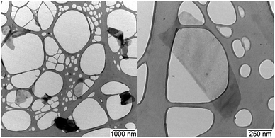 TEM image (left) and zoom in (right) of a drop-casted dispersion of G7b in THF onto a lacey carbon grid, with scale bars of 1000 and 250 nm, respectively.