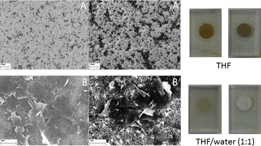 Left – SEM images of TiO2-T (left) and TiO2-S (right) soaked with G7a THF for 120 h at low (A) and high (B) magnification, respectively. Right – photographs of TiO2-T (left) and TiO2-S (right) soaked with G7a in THF and THF–water (1 : 1 v/v) for 120 h.