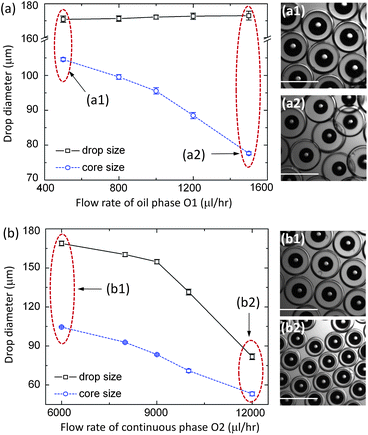 Controlled size of the gas-core triple emulsion drops. (a) The diameter of the gas core decreases with QO1 changing from 500 to 1500 μl h−1, with the flow rates QW : QO2 = 1000 : 6000 μl h−1 and the gas pressure 5 psi; (a1) and (a2) are the images of the fabricated triple emulsion droplets at QO1 = 500 and 1500 μl h−1, respectively. (b) The drop diameter decreases with QO2 changing from 6000 to 12 000 μl hr−1, with the flow rates QO1 : QW = 1000 : 1000 μl h−1 and the gas pressure 5 psi; (b1) and (b2) are the images of the fabricated triple emulsion droplets at QO2 = 6000 and 12 000 μl h−1, respectively. The scale bar in each image is 200 μm.