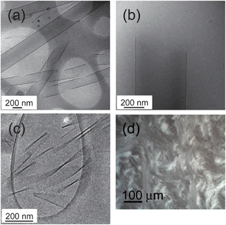 (a–c) Cryo-TEM images showing nanostructures from self-assembly of C16-FFKLVFF (1 wt%, i.e. 87 mM, solution) (a) single wall nanotubes coexisting with helical ribbons at 22 °C, (b) single wall nanotube at 22 °C, showing thin wall, (c) twisted tapes at 55 °C. (d) Birefringence texture in a polarized optical micrograph of a 2 wt% sample at 22 °C.