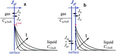Schematic illustration of the applied boundary conditions and the effects of interface resistances on the concentration profiles in the presence of liquid flow. (a) The phase equilibrium state where the interface liquid concentration is fixed at the saturation value given by Henry's Law (). The time (t) evolution results in increasing boundary layer thicknesses. (b) The non-equilibrium state where the interface liquid concentrations () are determined by the instantaneous exchange rates of absorbed and desorbed molecules at the surface liquid boundary (sl). The time (t) evolution results in increasing boundary layer thicknesses and increasing interface concentrations approaching the saturation value. In (a and b) the mass transfer resistances in the bulk gas phase are neglected.