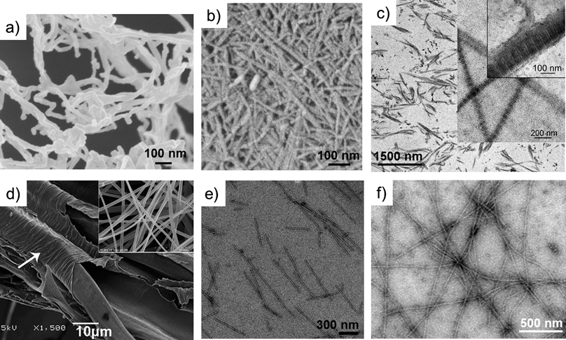 Electron microscopy images of nanofibrillated cellulose from wood (a), chitin from a prawn (b), reprinted with permission from Ifuku et al.,18 ©(2009) American Chemical Society; type I collagen from a rat tendon (c), reprinted with permission from Gobeaux et al.,15 ©(2008) Elsevier; partially degummed native silkworm silk and electrospun fibroin nanofibers (d and inset), reprinted with permission from Sahoo et al.,19 ©(2010) Elsevier; wild-type tobacco mosaic virus (e), reprinted with permission from Kadri et al.,20 ©(2011) Elsevier; and β-lactoglobulin amyloid (f), reprinted with permission from Jones et al.,21 ©(2010) American Chemical Society.