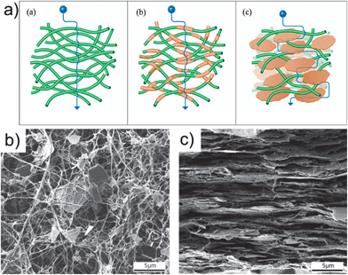 (a) Schematic drawings of three model types including diffusion pathways: (a) neat NFC defined as “native network”, (b) “covered fiber composite” model, and (c) the commonly used “fiber-brick composite” model. SEM images of (b) a dried suspension of NFC–mica, and (c) a fracture surface of the NFC–mica film cross-section. Adapted with permission from Ho et al.51 (2012) American Chemical Society.