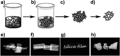 Top: aerogel preparation. (a) Nanoporous cellulose gel with an interconnected nanofibrillar network is impregnated with silica precursor TEOS. (b) Silica formation by hydrolysis and condensation, giving cellulose–silica composite gel. (c) Drying with scCO2 gives composite aerogel. (d) Calcination of cellulose leaves mesoporous silica aerogel. Bottom: macroscopic views of different cellulose–silica aerogels. Reprinted with permission from Cai et al.,52 ©(2012) John Wiley & Sons.