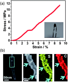(a) Stress–strain curve of a flexible carbon–sulfur nanotube membrane cathode. Inset shows a bent S-CNT membrane. (b) STEM analysis of a single carbon–sulfur nanotube.75 Reproduced from ref. 75. Copyright 2012 Royal Society of Chemistry.