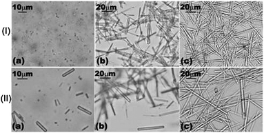 Optical micrographs showing the effect of urea concentration on the size of α-CD–tetradecane IC microrods as a function of time. Row I: in 0.5 M urea (a) immediately after dispersion; (b) after 24 hours; and (c) after 3 days. Row II: in 1 M urea (a) immediately after dispersion; (b) after 24 hours; and (c) after 3 days.