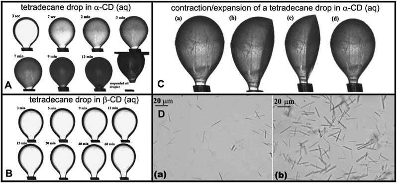 (A) Optical images showing the formation of α-CD–tetradecane ICs at the o/w interface as a function of time. Note that the oil drop gets completely coated with IC microcrystals while exposed to the α-CD solution and retains its shape after detaching from the needle tip. (B) Optical images of a tetradecane droplet in 10 mM β-CD aqueous solution captured at different times. This illustrates that compared to α-CD–tetradecane ICs, the formation of β-CD–tetradecane ICs goes at a lower rate. (C) Optical images illustrating the effect of contraction/expansion of the tetradecane drop densely coated with α-CD–tetradecane IC microcrystals on the drop shape. The images (b) and (c) indicate that the droplet remains deformed after withdrawing the core oil into the syringe; (d) the droplet goes back to its original shape after infusion with tetradecane; (D) optical micrographs of α-CD IC microcrystals collected from the area close to the o/w droplet interface – see (C).