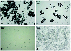 Microscope optical micrographs of: (a) pure α-CD powder; (b) saturated aqueous solution of α-CD; (c) pure β-CD powder; (d) β-CD crystals produced from supersaturated solution.