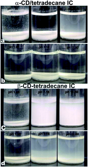 Influence of pH of the aqueous solution on the formation of microcrystals of α-CD–tetradecane ICs (a and b) and β-CD–tetradecane ICs (c and d): images (a) and (c) were captured 24 hours after the initial mixing of CD and tetradecane, while images (b) and (d) were captured after 7 days.