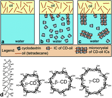 Influence of α-CD and β-CD concentrations on air–water surface tension and tetradecane–water interfacial tension. (d) Molecular structures of tetradecane, α-CD, β-CD and γ-CD.